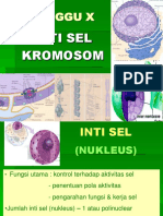 Inti Sel (Nukleus) 10