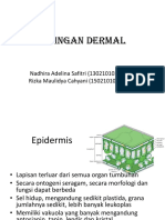 Jaringan Dermal Belum Fix