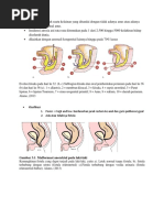 Tayoq bilan dumbaga urish videosi