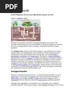 Download Nitrogen Cycle by Hardik SN36553093 doc pdf