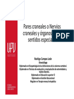 Pares Craneales y Órganos de Los Sentidos PDF