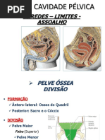 Anato - 19 Cavidade Pélvica