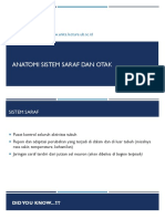 3.-ANATOMI-SUSUNAN-SARAF.pdf