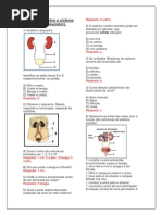 Exercícios Sobre o Sistema Urinário