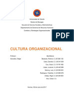 Cultura Organizacional