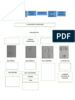 Mapa Conceptual Ciencias