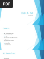 Halo BI PM
