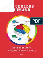 el_cerebro_humano.pdf