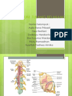 Presentasi Sumsum Tulang Belakang