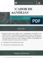 Secador de Bandejas