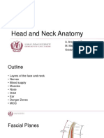 Head and Neck Anatomy: A. Arsalan, MD M. Martin MD, DMD October 4-5, 2017