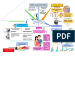 Parto Sin Dolor - Mapa Conceptual