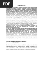 Trabajo Quechua 100