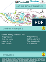 Natuna Basins