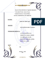 Informe de Procedimiento de Cobranza Coactiva