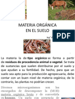 Materia Orgánica en El Suelo