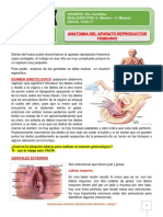 Anatomia Del Aparato Femenino.1G