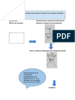 Documento sin título (5).docx