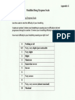 Borg Scale PDF