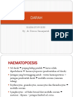 Hematologi Histologi Darah2