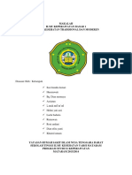 Pelayanan Kesehatan Modern