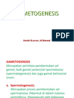 Gametogenesis KBK