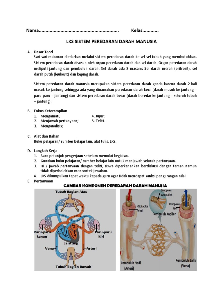 Lkpd Sistem Peredaran Darah