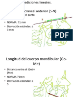 medidas lineales.pptx