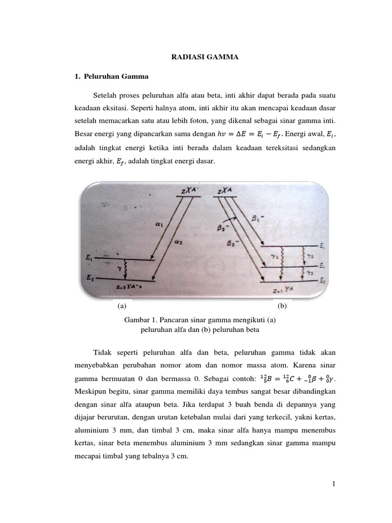 Interaksi dan Peluruhan Sinar Gamma | PDF | Sains & Matematika