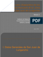 Módulo 3 - Estudio de Caso - Diagnóstico de Los Asentamientos Humanos de La Zona V de San Juan de Lurigancho PDF