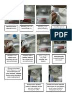 Dok Praktikum Fitofar 4