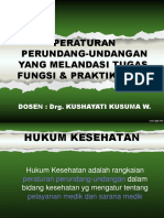 Peraturan Perundang-Undangan Yang Melandasi Fungsi Dan Praktik Bidan