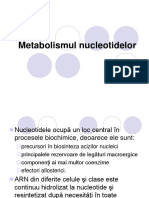 Prezentare Nucleotide
