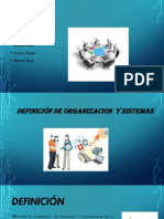 oraganizacion y sistemas.pptx