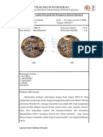 2 Acara Kuantitatif Dan Kualitatif Petrografi