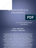Introduccinalafisioterapia 140730120949 Phpapp02 PDF