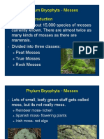 Phylum Bryophyta - Mosses Mosses - Introduction