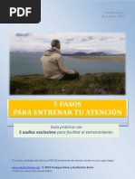 Guía 5 Pasos Para Entrenar Tu Atención