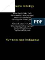 Otoscopic Pathology Guide by Brodie & Chole