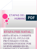 Etapas Del Ser Humano Diapositiva