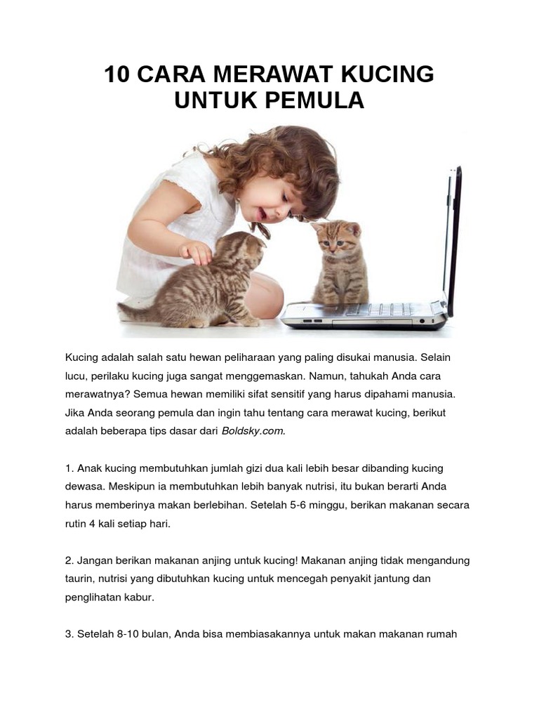 10 Cara Merawat Kucing Untuk Pemula  PDF