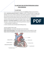 Anatomi Fisiologi Jantung Dan Sistem Peredaran Darah Pada Manusia