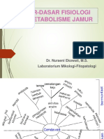 Fisiologi Dan Metabolisme Jamur