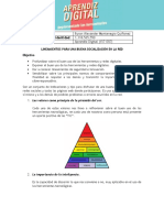 Evidencia AA3-Ev2 - Informe Lineamientos para Una Buena Socialización en La Red