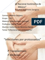 Infecciones Por Protozoarios