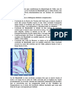 Dentro de Los Factores Que Condicionan La