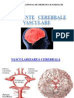Acidente Cerebrovasculare, Tumorile, Traumele  