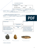 Ficha de Avaliacao Sara (1)