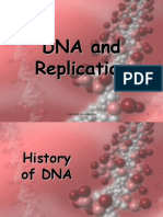 DNA Replication