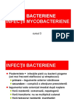Cursul 3 Bacterii Mycobacterii